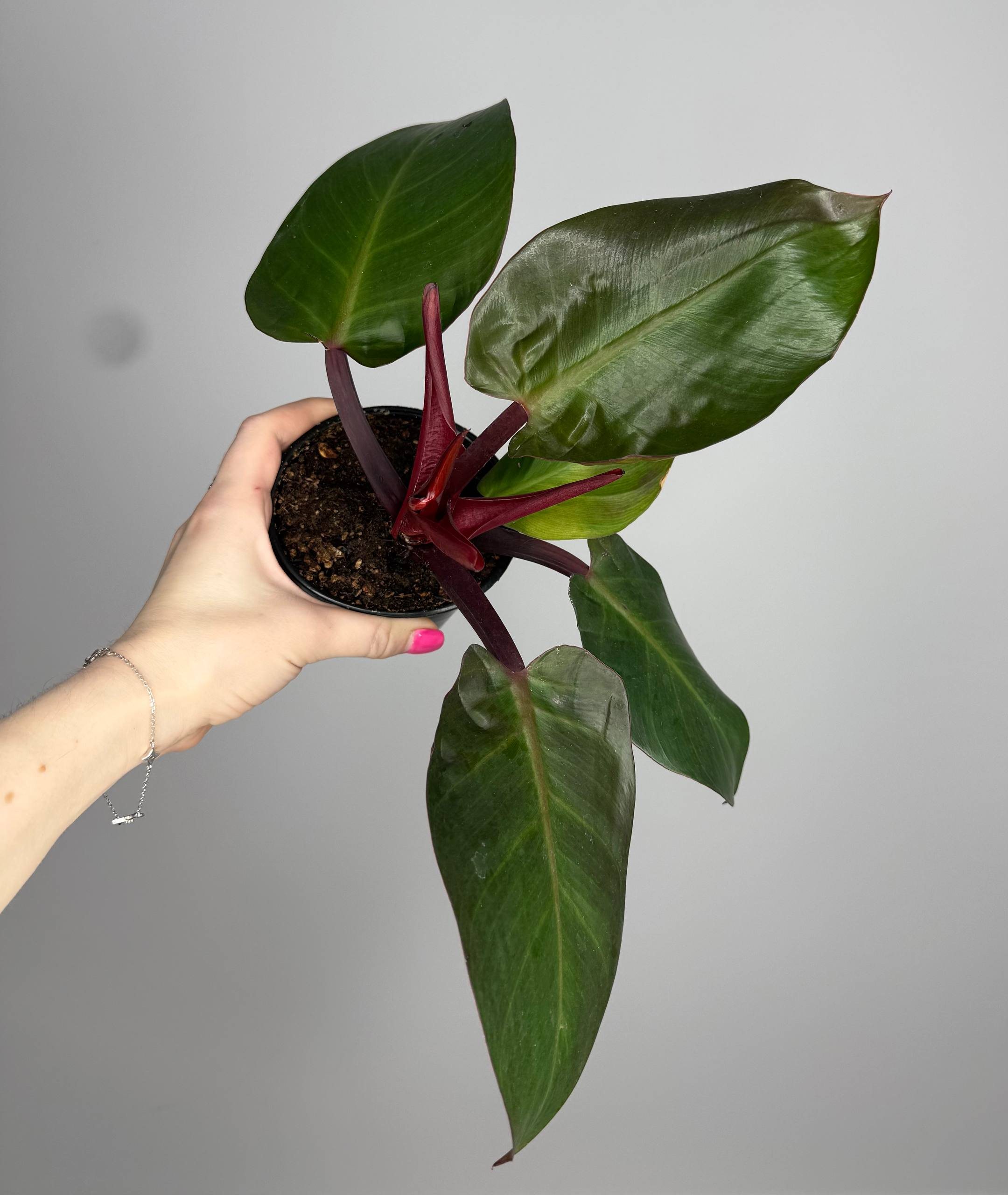 Распродажа